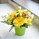 相武ガーデン 生花 カラーが選べる店長おまかせミニアレンジメント (イエロー系)