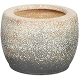 白砂火鉢 10号 信楽焼 伝統の火鉢 白砂 陶器