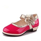 RoRykon 子供 フォーマル シューズ キッズ ドレス 靴 女の子 プリンセス 結婚式 フラワーガール 発表会 演奏会 入園式 入学式 卒園式 卒業式 誕生日 お呼ばれ 七五三 パーティー オール