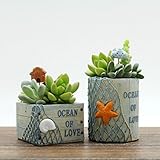 ASDOMO マット表面 多肉植物 サボテン鉢 フラワーポット プランター容器