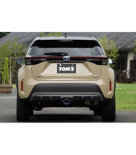 Amazon | トムス(Tom's) ウイングエンドスポイラー レクサスRC-F USC10