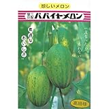 メロン 種 【 パパイヤメロン 】 種子 小袋（約9粒）