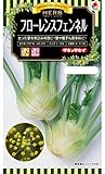 タキイ種苗 ハーブ フローレンスフェンネル