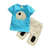 【SEBLES】ベビー 赤ちゃん 男の子 半袖 ラウンドネック ゾウさん 象 無地 ポケット Tシャツ ストライプ ズボン ボトムス パンツ セット ツーピース コットン 綿 夏 春(タイプA,110