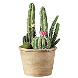 Faux Flowering Cactus in Pot ピンク 39949 PINK