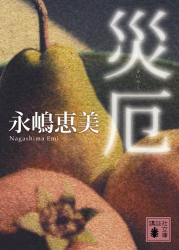 永嶋恵美:災厄 (講談社文庫)
