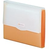 リヒトラブ ドキュメントファイル G5610-4 オレンジ A4
