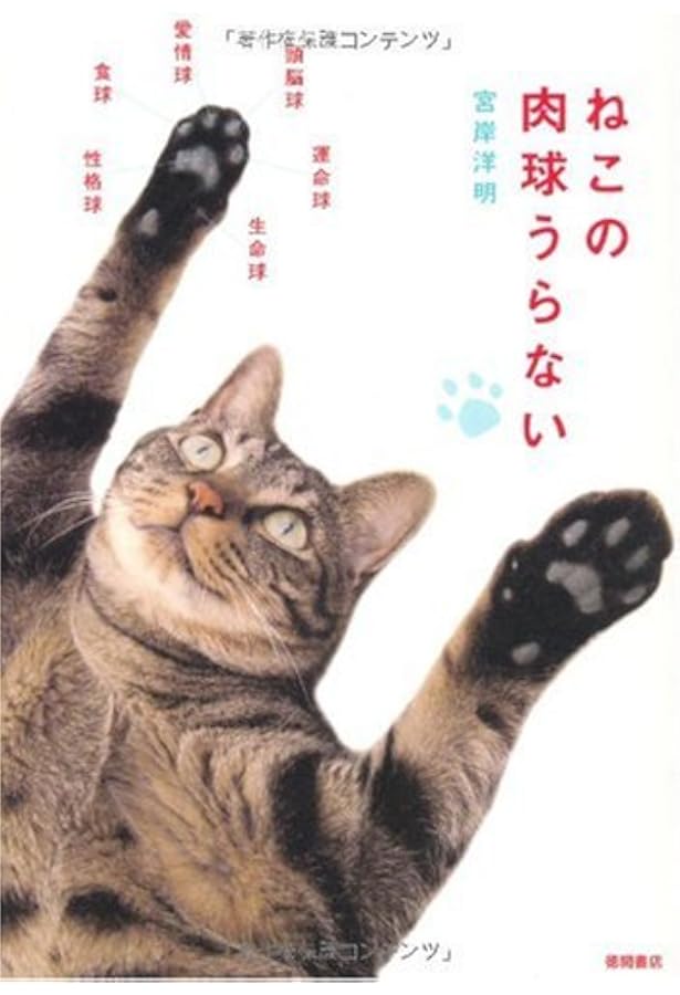 ねこてそ | 暁 |本 | 通販 | Amazon