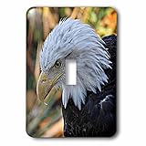 3drose LSP _ 184366 _ 1 American Bald Eagle左プロファイルビューフォトライトスイッチカバー