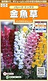 サカタのタネ 実咲花7130 金魚草 パレードミックス 00907130
