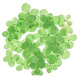 lychee アジサイ ドライフラワー DIY ホーム ウェディング パーティー 装飾 オーナメント マルチカラー 3014Q51YZI3