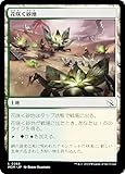 マジックザギャザリング MTG MOM JP 0268 花咲く砂地 (日本語版 コモン) スターターキット2023