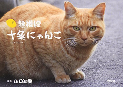 熱視線 十条にゃんこ