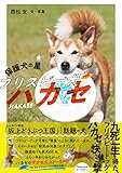 保護犬の星 フリスビー犬ハカセ