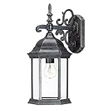 Alico Lighting 5184ST Acclaim Lighting Stone Finished Outdoor Sconce with Clear Beveled Glass Shades
