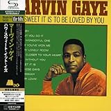 �n�E�E�X�E�B�[�g�E�C�b�g�E�C�Y