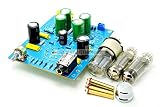LILLYエレクトロニクス 6N9P+6C19クラスAヘッドフォン・プリアンプボードJJ-3