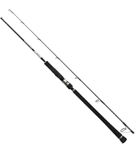 Amazon | シマノ(SHIMANO) ジギングロッド 24 ゲーム タイプJ
