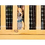 Kid Safe Deck Guard [並行輸入品]