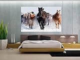 3dカスタム写真壁画3d壁紙Fine Horses Running装飾絵画3d壁壁画壁紙壁の3d 3Ds471789