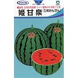 スイカ 種 【 姫甘泉 (ひめかんせん) 】 種子 小袋（約8粒）