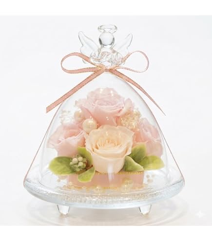 Amazon.co.jp: IPFA プリザーブドフラワー ガラスドーム エンジェル