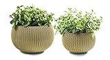 取り外し可能なライナー付き2のCoziesプラスチックプランターセット、ニットテクスチャ、中小ポット、シトラスグリーン
