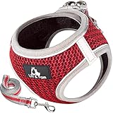 Lil&Fam 犬 ハーネス 胴輪 リードセット 身体に優しい 反射材付き メッシュ 小型犬 中型犬 猫 (レッド, Mサイズ)