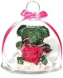 TEATSIGHT(ティートサイト) プリザーブドフラワー 枯れないお花 クリスタル付きガラスドーム バラ1輪（ピンク） アニマルモス（クマ） スワロフスキー社製クリスタル1粒 クリアケース入り