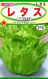 【種子】 レタス ノーブルSP トーホクのタネ