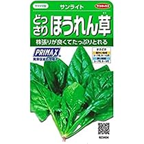 ほうれんそうページ 51YvHyJ-53L._AC_UL210_SR210,