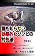誰も知らない効果的なゾンビの対処法　【序章】 ふうせん