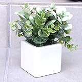 人工観葉植物（09：ホワイト&グリーン）　リアルでかわいい おしゃれなグリーン 【 造花 雑貨 】