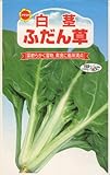 アタリヤ農園 ガーデニング用品 種 やわらかふだん草