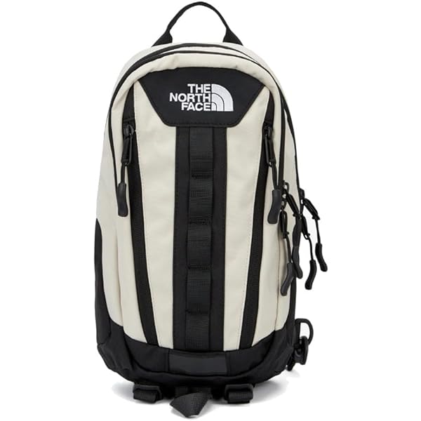 Amazon | [ザノースフェイス] 2024 ビッグショットワンウェイ 男女兼用