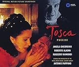 �v�b�`�[�j:�̌��u�g�X�J�v�S��