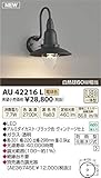 コイズミ照明　アウトドアライト【AU42216L】
