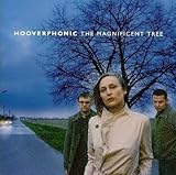 �}�O�j�t�B�b�Z���g�E�c���[