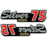 高齢者マーク マグネットタイプステッカー二枚組 おしゃれ 年齢別 還暦祝い 緑寿祝い 古希祝い 喜寿祝い 傘寿祝い 日本製 (Silver-75)