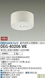 大光電機 非常灯 DEG40206WE