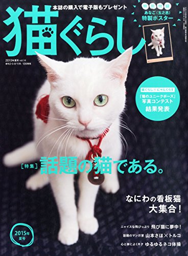 猫ぐらし 2015年 06 月号 [雑誌]