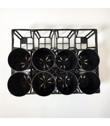 Amazon.co.jp: トレー 6穴 PMT-6 プラスチックトレイ : DIY・工具