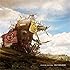 diverse journey(アナログ盤)