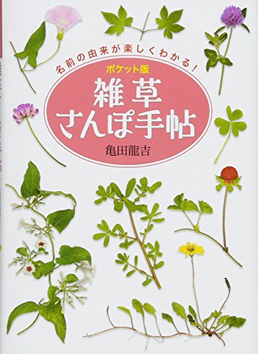 ใใฑใใ็ ้่ใใใฝๆๅธ ใใฑใใ็ ้่ใใใฝๆๅธ