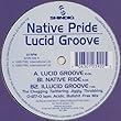 Lucid Groove - Native Pride 12"