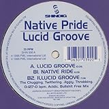 Lucid Groove - Native Pride 12"