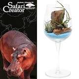 (観葉)エアープランツ「サファリ クリエーター」 ～カバ～(1セット) ギフト仕様 本州・四国限定[生体]