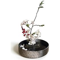 Amazon.co.jp: 生け花用 花器 水盤 陶器 浅型 黒水盤花瓶 陶器 華道