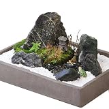 (観葉)私の小さな箱庭セット 本州・四国限定[生体]