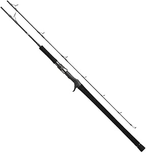 ダイワ Daiwa ジギングロッド キャタリナ 61lb E 釣り竿 ダイワ Daiwa ジギングロッド Amazon